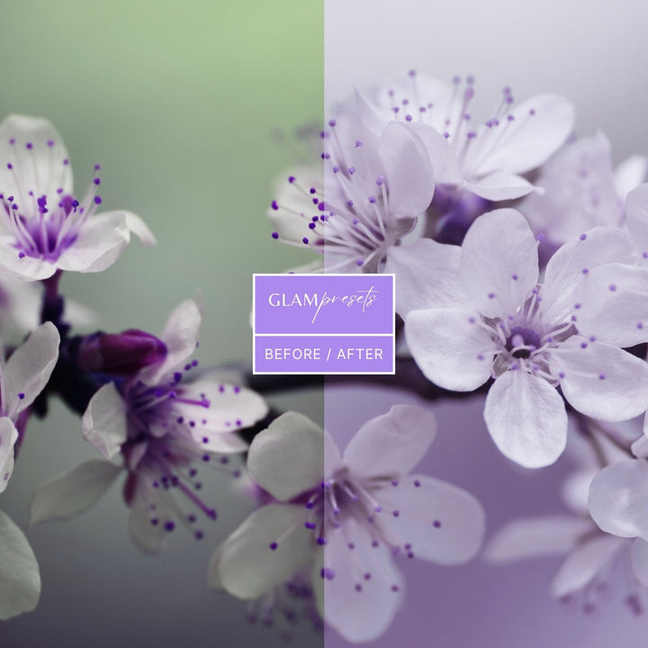 Violet Lightroom Presets