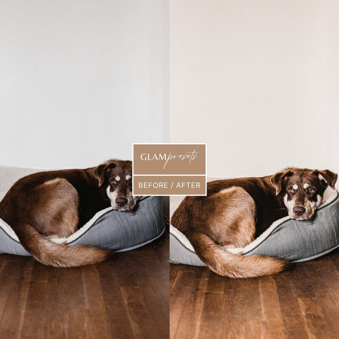 Dog Lover Lightroom Presets